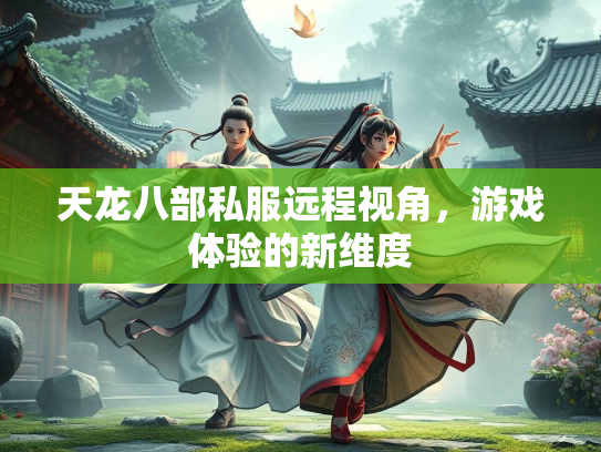 天龙八部私服远程视角，游戏体验的新维度