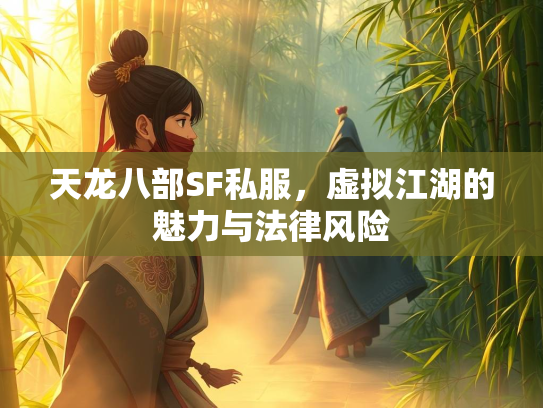 天龙八部SF私服，虚拟江湖的魅力与法律风险