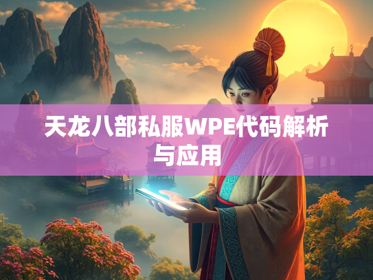 天龙八部私服WPE代码解析与应用