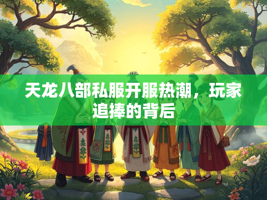 天龙八部私服开服热潮，玩家追捧的背后  第2张