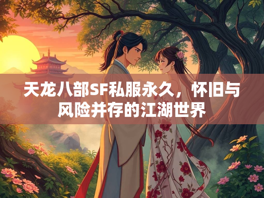 天龙八部SF私服永久，怀旧与风险并存的江湖世界  第2张