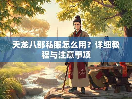 天龙八部私服怎么用？详细教程与注意事项  第2张