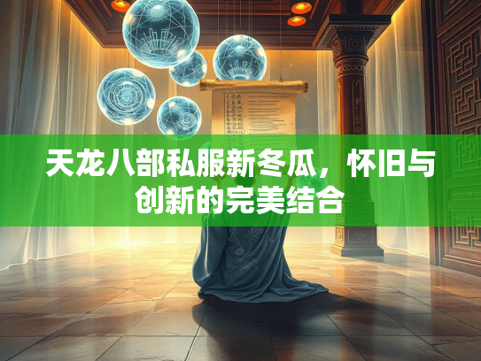 天龙八部私服新冬瓜，怀旧与创新的完美结合  第2张
