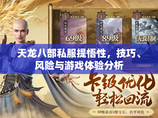 天龙八部私服提悟性，技巧、风险与游戏体验分析