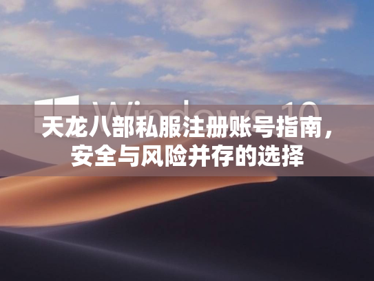 天龙八部私服注册账号指南，安全与风险并存的选择