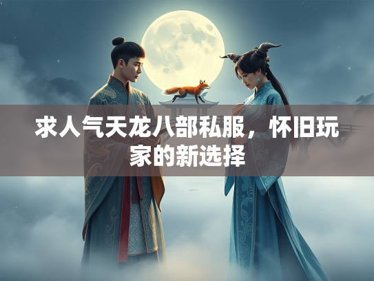 求人气天龙八部私服，怀旧玩家的新选择  第5张