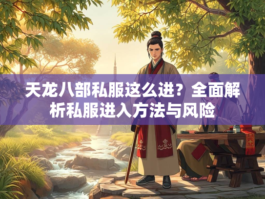 天龙八部私服这么进？全面解析私服进入方法与风险