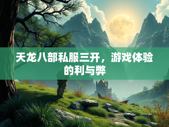 天龙八部私服三开，游戏体验的利与弊