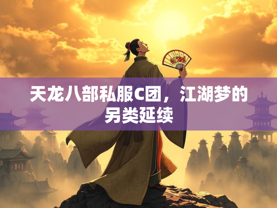 天龙八部私服C团，江湖梦的另类延续  第1张