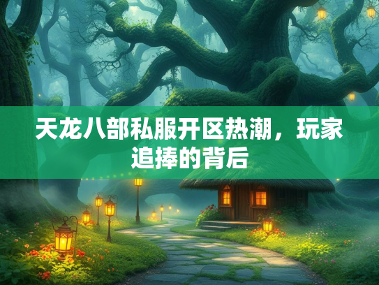 天龙八部私服开区热潮，玩家追捧的背后  第1张