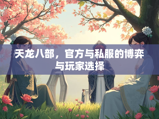 天龙八部，官方与私服的博弈与玩家选择  第1张