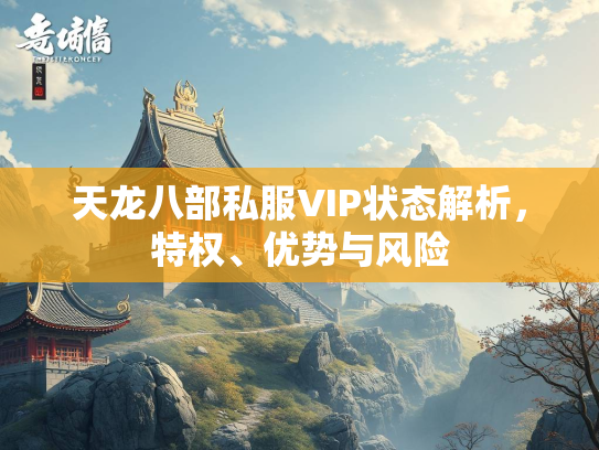 天龙八部私服VIP状态解析，特权、优势与风险  第2张