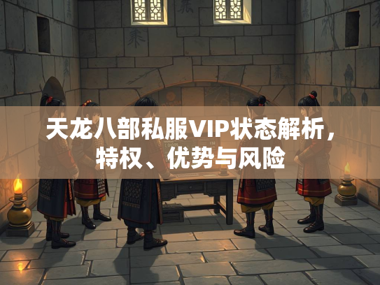 天龙八部私服VIP状态解析，特权、优势与风险  第3张