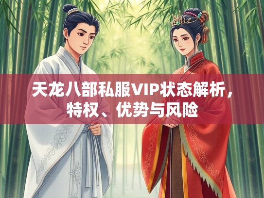 天龙八部私服VIP状态解析，特权、优势与风险  第1张