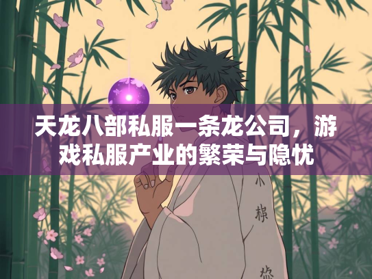 天龙八部私服一条龙公司，游戏私服产业的繁荣与隐忧