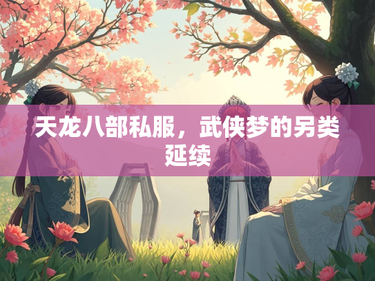 天龙八部私服，武侠梦的另类延续  第3张