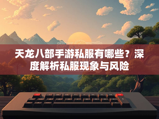 天龙八部手游私服有哪些？深度解析私服现象与风险
