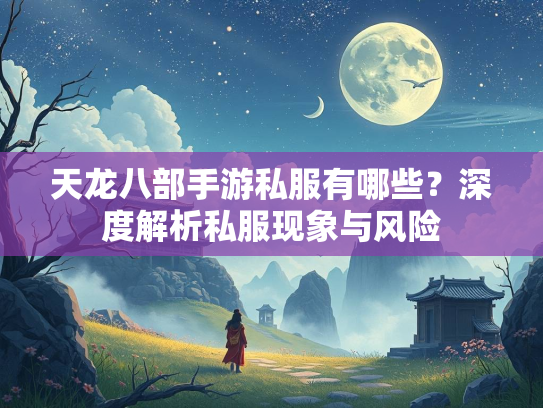 天龙八部手游私服有哪些？深度解析私服现象与风险