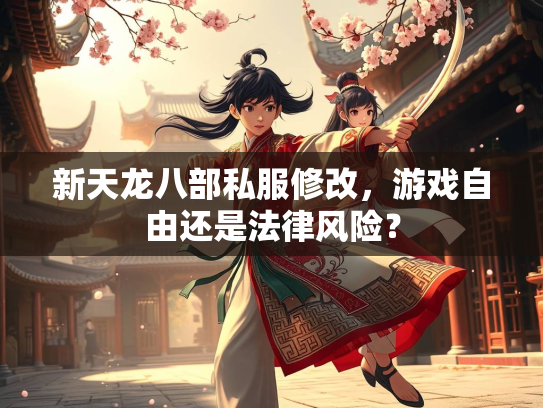 新天龙八部私服修改，游戏自由还是法律风险？  第4张