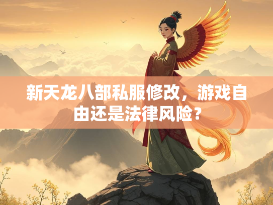 新天龙八部私服修改，游戏自由还是法律风险？  第5张