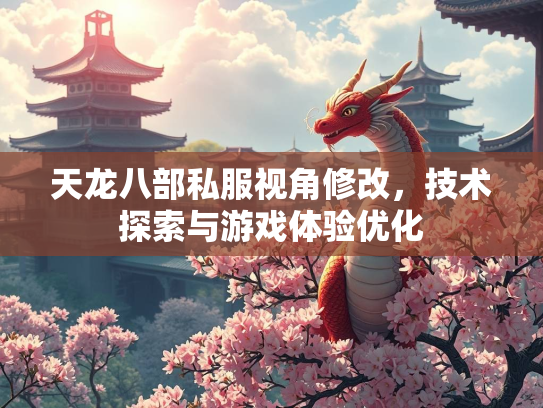 天龙八部私服视角修改，技术探索与游戏体验优化