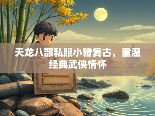 天龙八部私服小猪复古，重温经典武侠情怀  第2张
