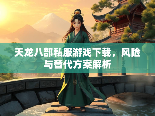 天龙八部私服游戏下载，风险与替代方案解析  第2张