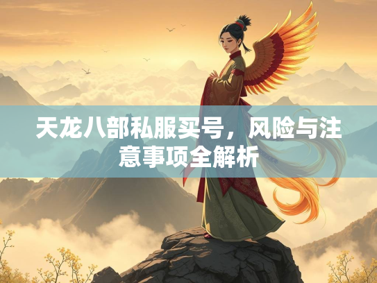 天龙八部私服买号，风险与注意事项全解析  第4张