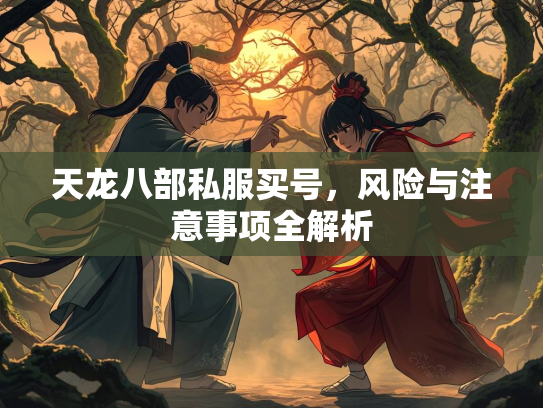 天龙八部私服买号，风险与注意事项全解析