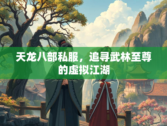 天龙八部私服，追寻武林至尊的虚拟江湖