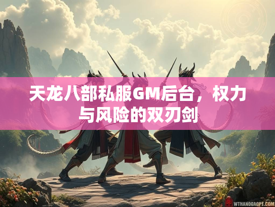 天龙八部私服GM后台，权力与风险的双刃剑  第1张