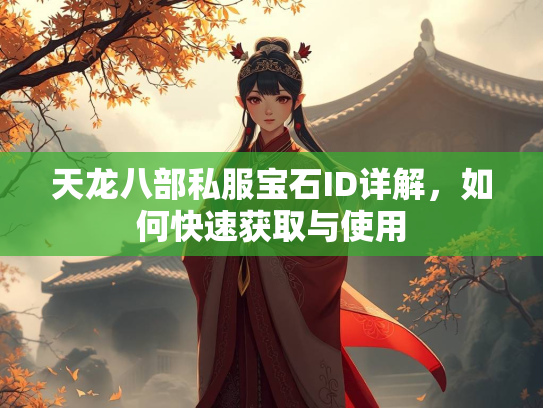 天龙八部私服宝石ID详解，如何快速获取与使用