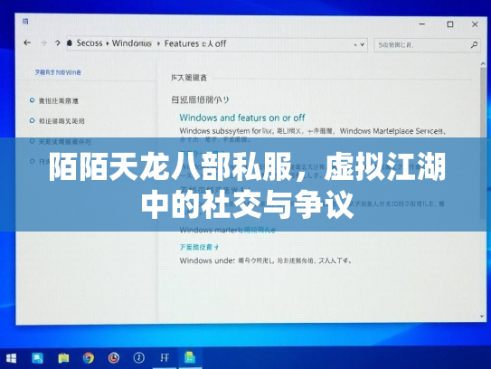 陌陌天龙八部私服，虚拟江湖中的社交与争议