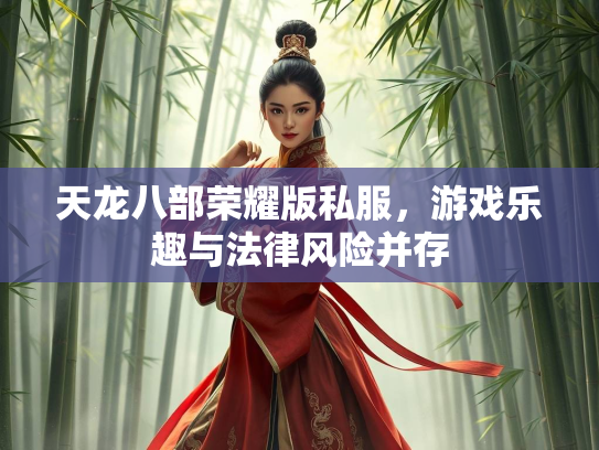 天龙八部荣耀版私服，游戏乐趣与法律风险并存  第3张