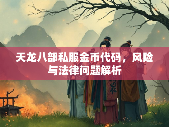 天龙八部私服金币代码，风险与法律问题解析  第3张
