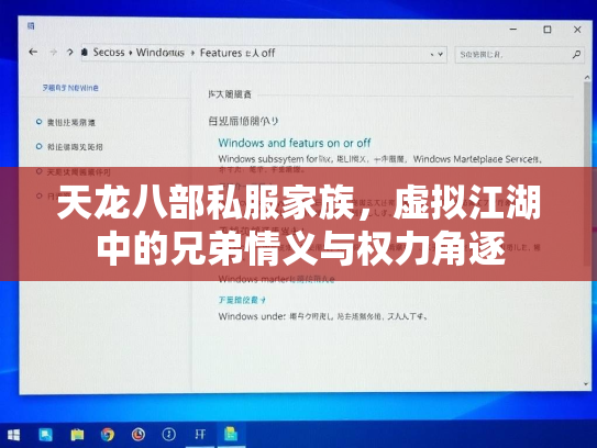天龙八部私服家族，虚拟江湖中的兄弟情义与权力角逐