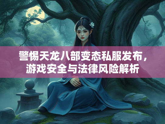 警惕天龙八部变态私服发布，游戏安全与法律风险解析  第3张