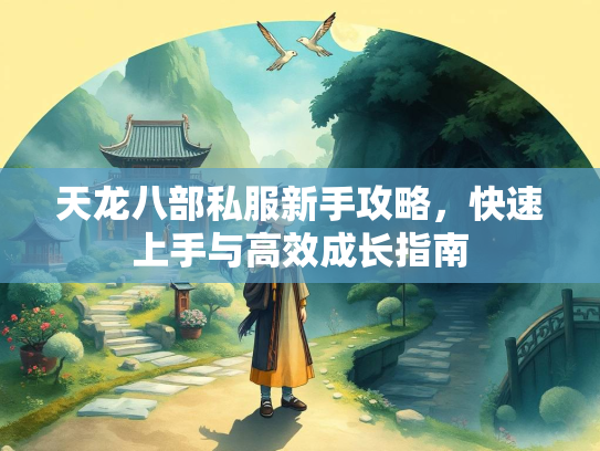天龙八部私服新手攻略，快速上手与高效成长指南  第2张