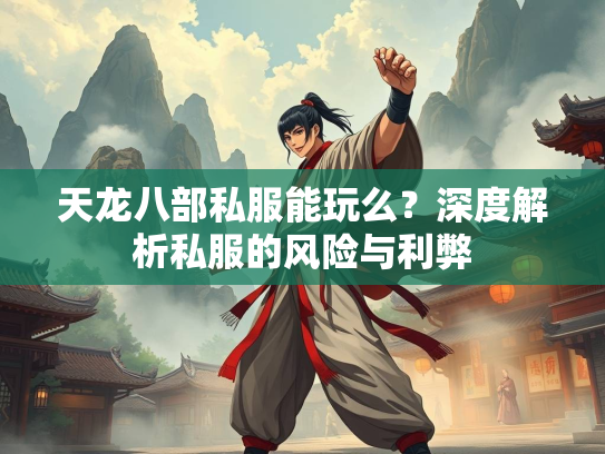天龙八部私服能玩么？深度解析私服的风险与利弊