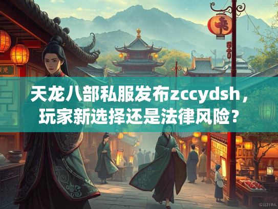 天龙八部私服发布zccydsh，玩家新选择还是法律风险？