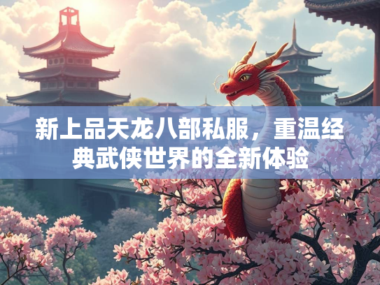 新上品天龙八部私服，重温经典武侠世界的全新体验