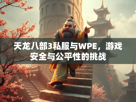 天龙八部3私服与WPE，游戏安全与公平性的挑战  第3张