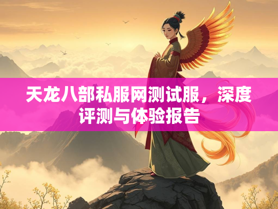 天龙八部私服网测试服，深度评测与体验报告