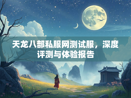 天龙八部私服网测试服，深度评测与体验报告