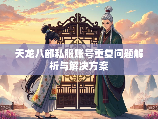 天龙八部私服账号重复问题解析与解决方案  第2张