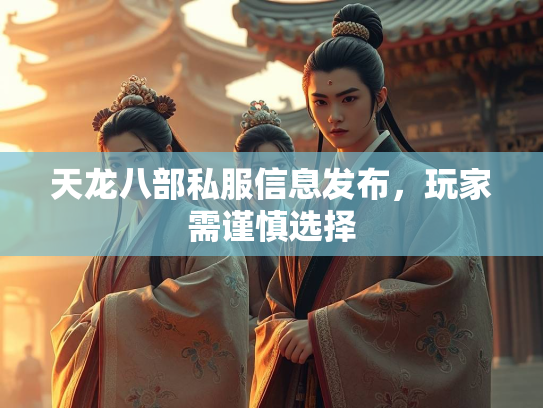 天龙八部私服信息发布，玩家需谨慎选择