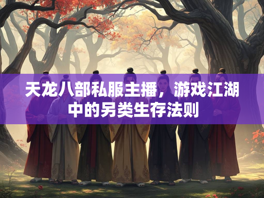 天龙八部私服主播，游戏江湖中的另类生存法则  第3张
