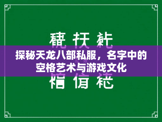 探秘天龙八部私服，名字中的空格艺术与游戏文化  第3张