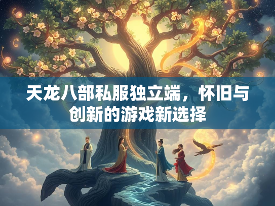 天龙八部私服独立端，怀旧与创新的游戏新选择