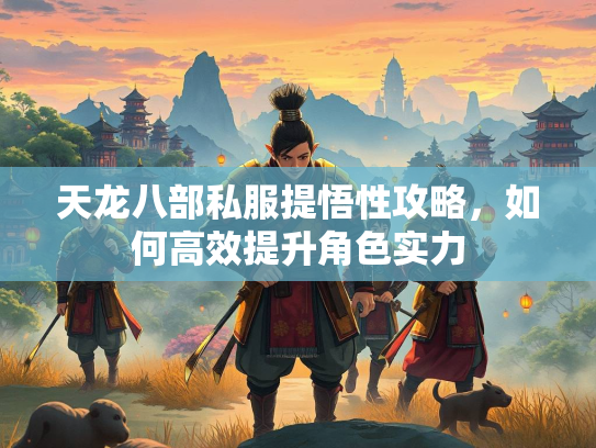 天龙八部私服提悟性攻略，如何高效提升角色实力